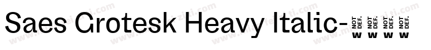 Saes Grotesk Heavy Italic字体转换